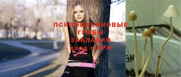 кокс Алексеевка
