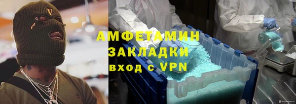 шишки Алзамай