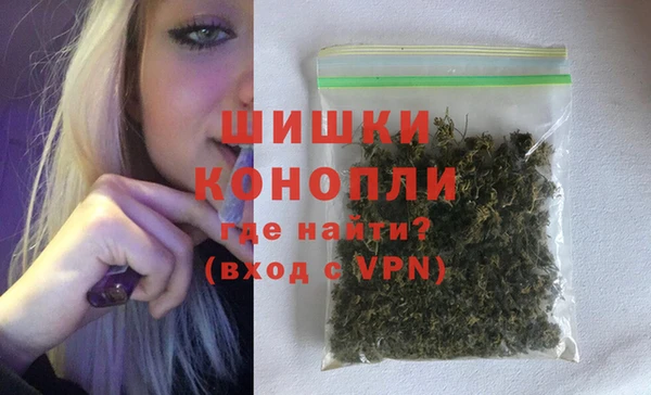 шишки Алзамай
