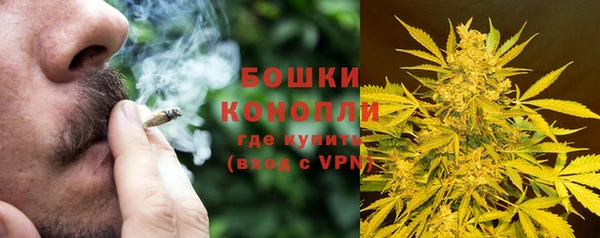 шишки Алзамай