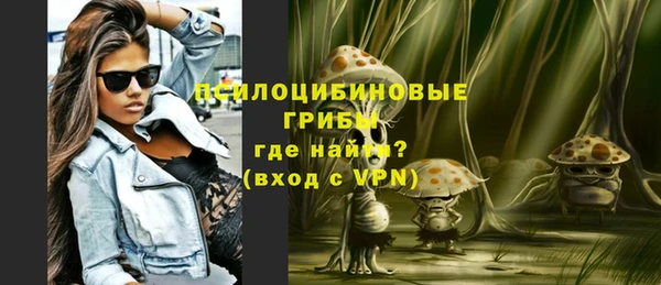 шишки Алзамай